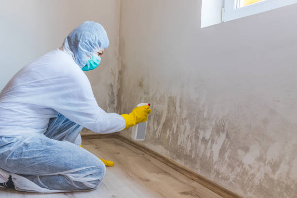 Licensed Crawl Space Mold Removal service in Frisco, TX - WQB Mold Removal