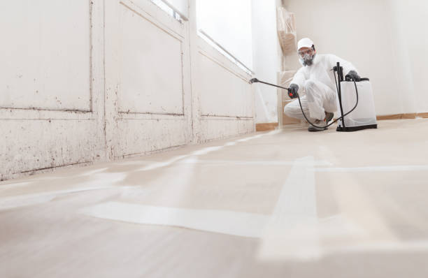 24/7 Emergency Crawl Space Mold Removal experts in Frisco, TX