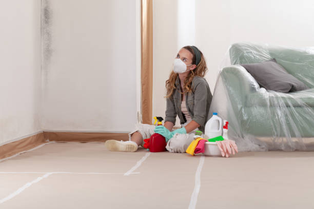 Reliable Crawl Space Mold Removal contractor in Frisco, TX by WQB Mold Removal
